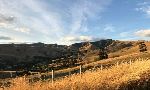 New Zealand lãng mạn trong mắt cô gái Việt