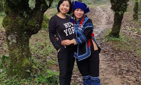 Háo hức đi Sa Pa, Đà Lạt khi mở cửa du lịch trở lại