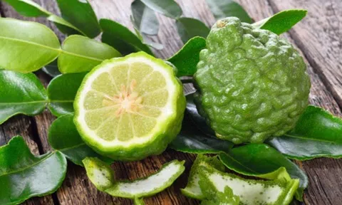 Những lợi ích sức khỏe bất ngờ của quả chúc